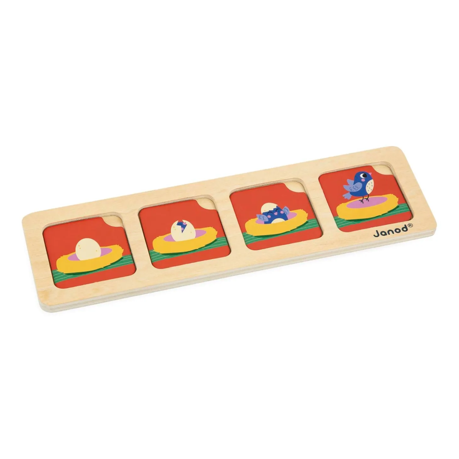 Janod Cartes sequences le jardin