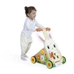 Janod                    Chariot Lapin Ferme    Multicolore