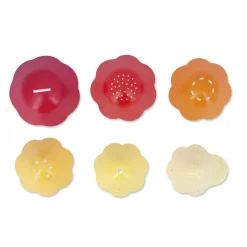 Janod Jouet de bain Bernard et sa coquille Multicolore
