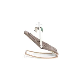 Joie Transat Dreamer Strata Acorn