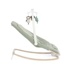 Joie                    Transat Dreamer    Strata Mist