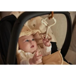 Jollein                    Jeu d'anneaux silicone    Teddy Bear