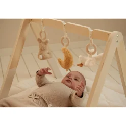 Little Dutch Arche d'éveil en bois Newborn