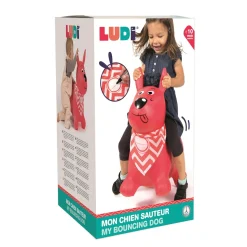 Ludi                    Chien sauteur    Rouge