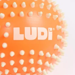 Ludi                    Duo de balles    Multicolore            13 cm
