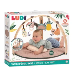 Ludi Tapis arche bois Beige