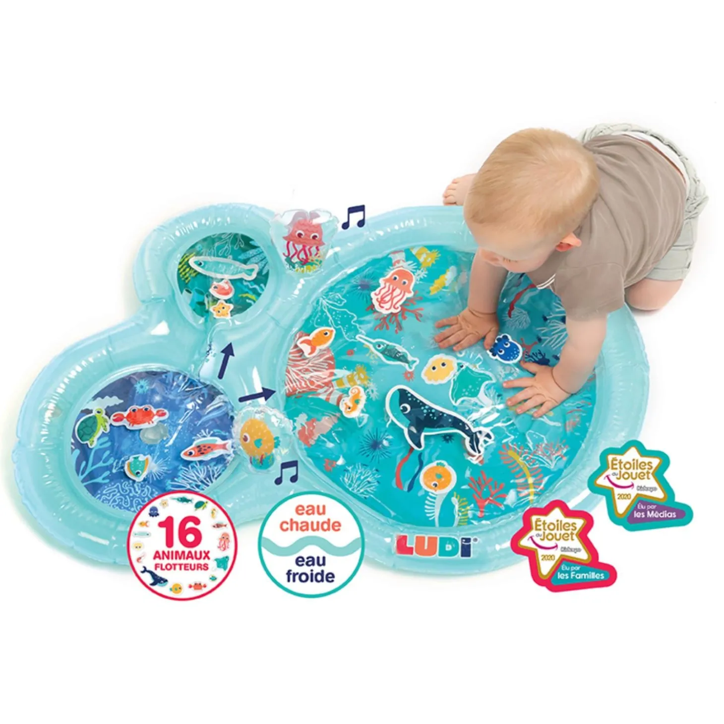 Ludi Tapis d'eau Marin Bleu