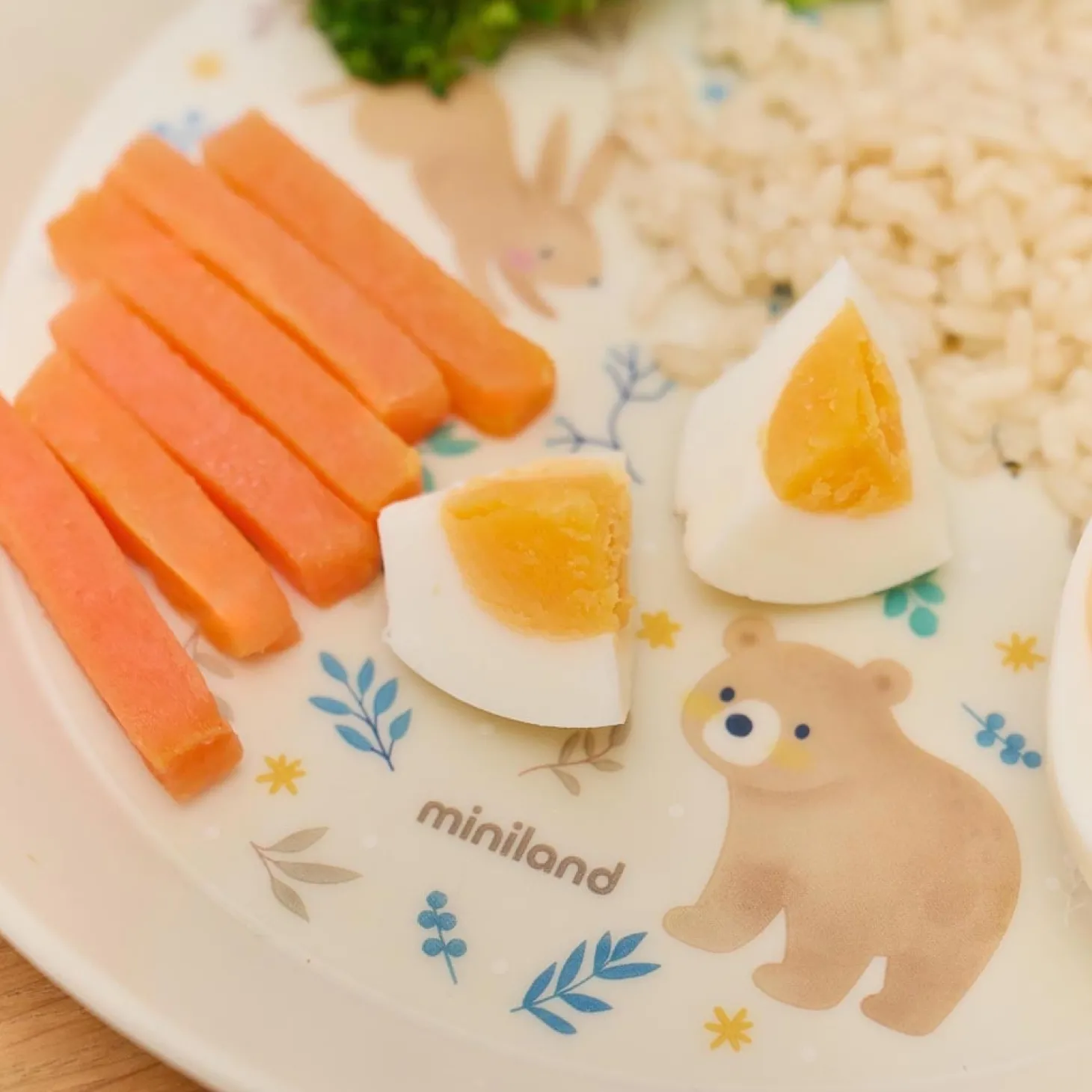 Miniland Set Repas Pays de Rêve Multicolore