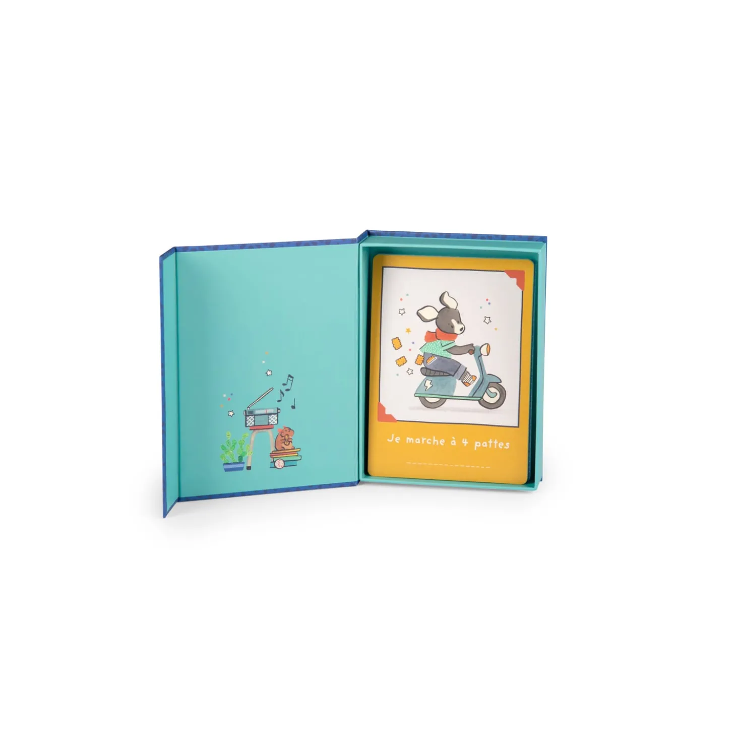 Moulin Roty Cartes Mes 12 premiers mois Puce & Pilou 30 cartes Bleu