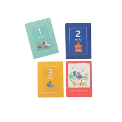 Moulin Roty Cartes Mes 12 premiers mois Puce & Pilou 30 cartes Bleu