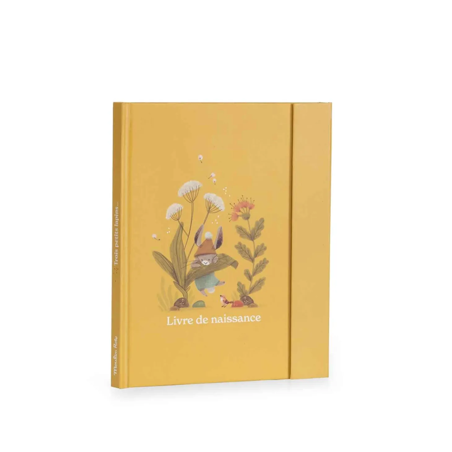 Moulin Roty Livre de naissance Ocre