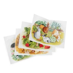 Moulin Roty                    4 mini puzzles des animaux Le Jardinier Le Jardin du Moulin    Multicolore