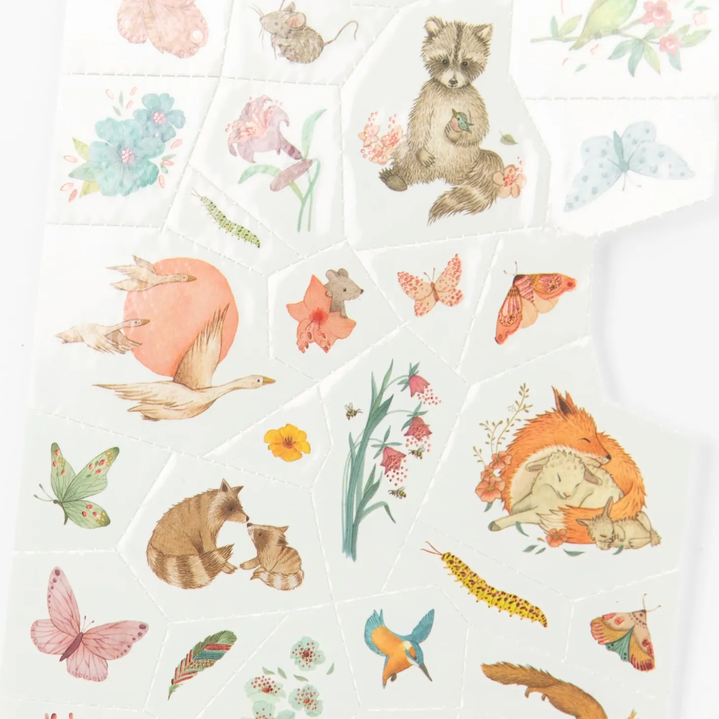 Moulin Roty Tatouages Les Rosalies Multicolore