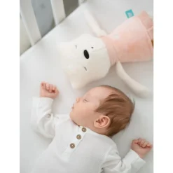 MY HUMMY Peluche d'activité Suzy mechanism MS02 Pink