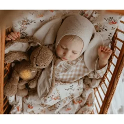 MY HUMMY Peluche Lapin 5 en 1 + bouillote Brown