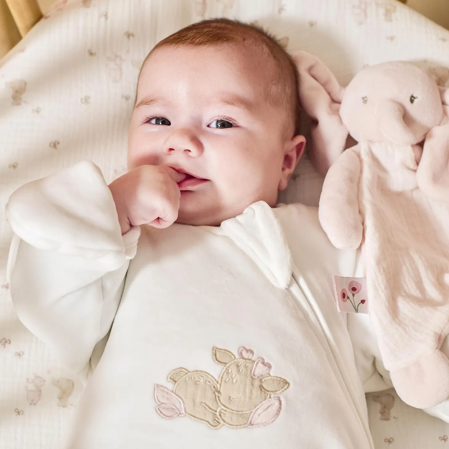 Nattou Mini Doudou Éléphant Fanfan Rose
