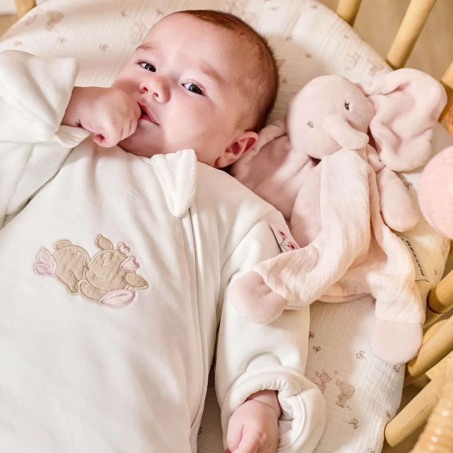 Nattou Mini Doudou Éléphant Fanfan Rose