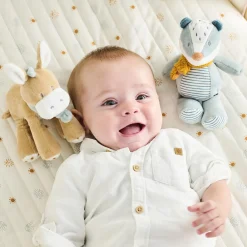 Nattou                    Mini Peluche Felix le blaireau Felix et Leo    Bleu