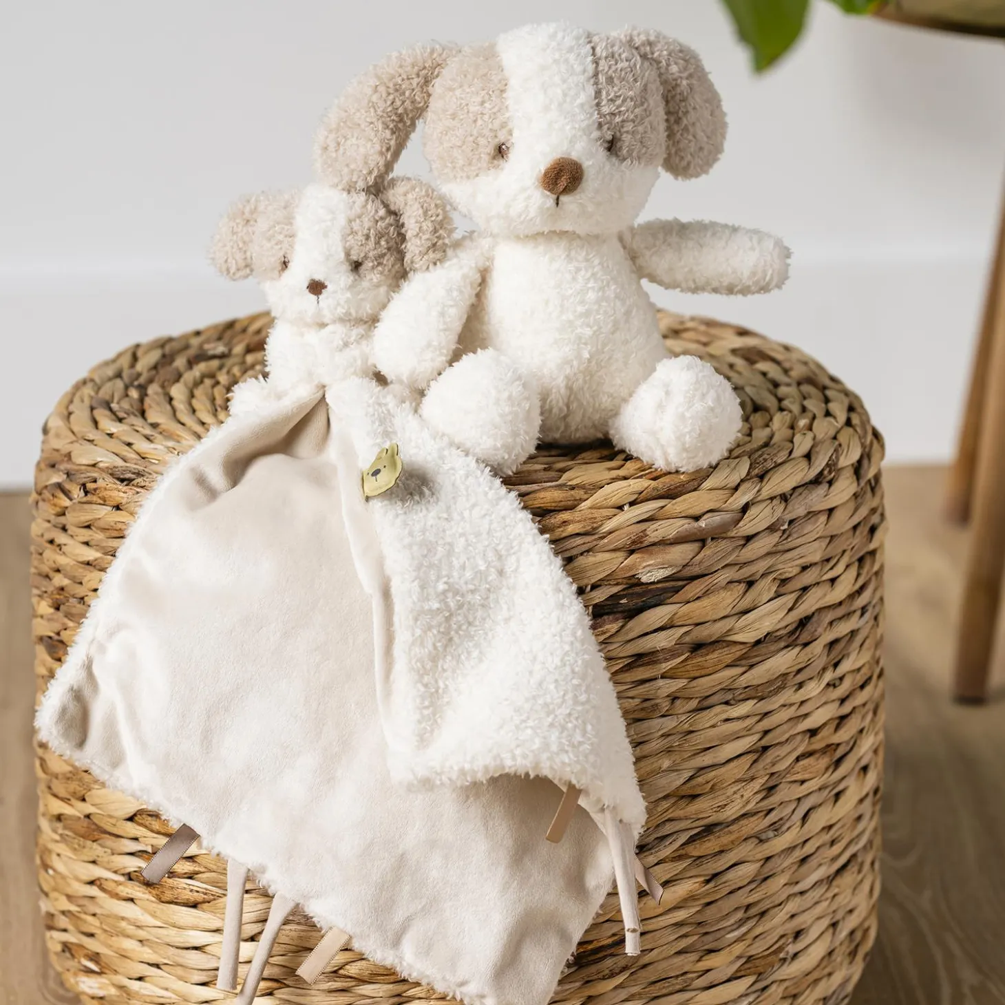 Nattou Peluche Bébé Chien Bouclette Teddy Ecru 24 cm