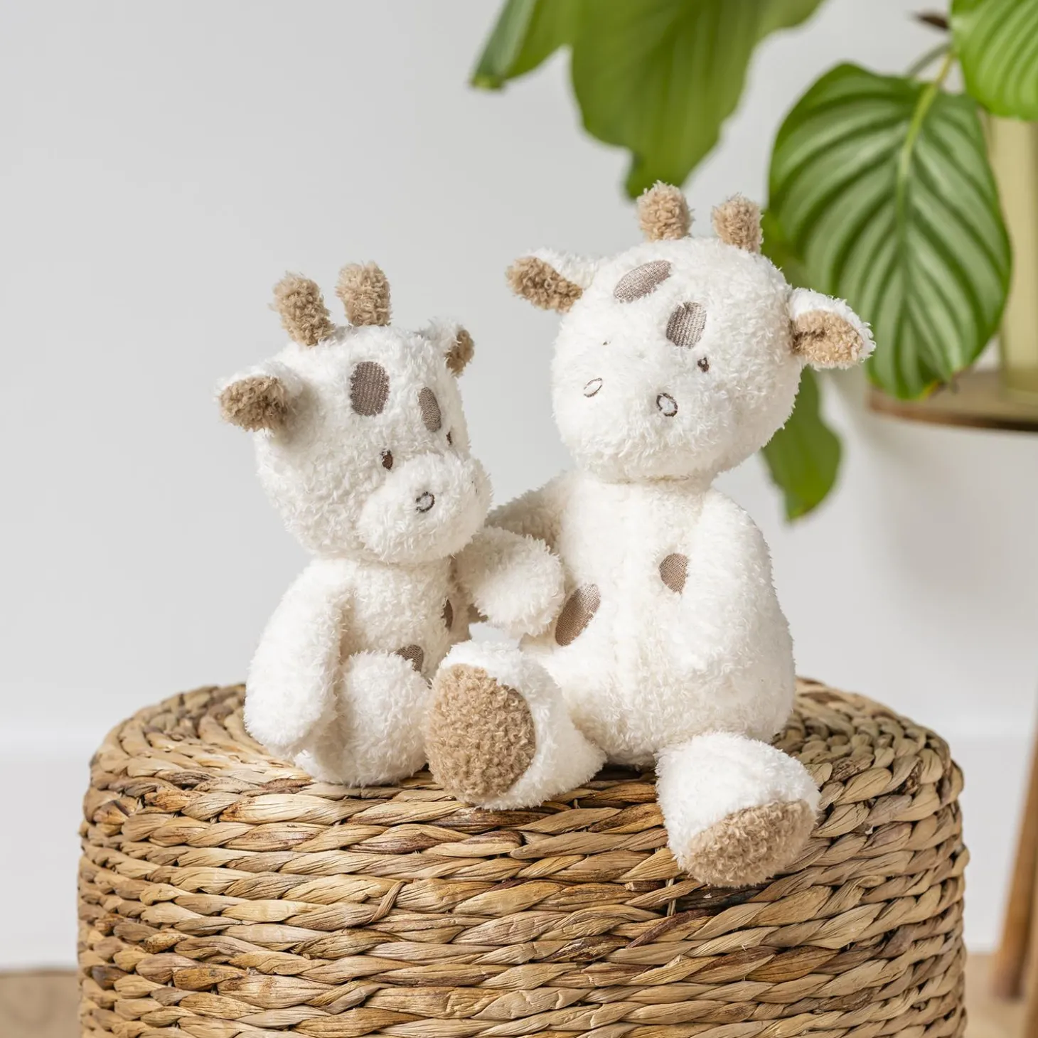 Nattou Peluche Bébé Girafe Bouclette Teddy Ecru 24 cm