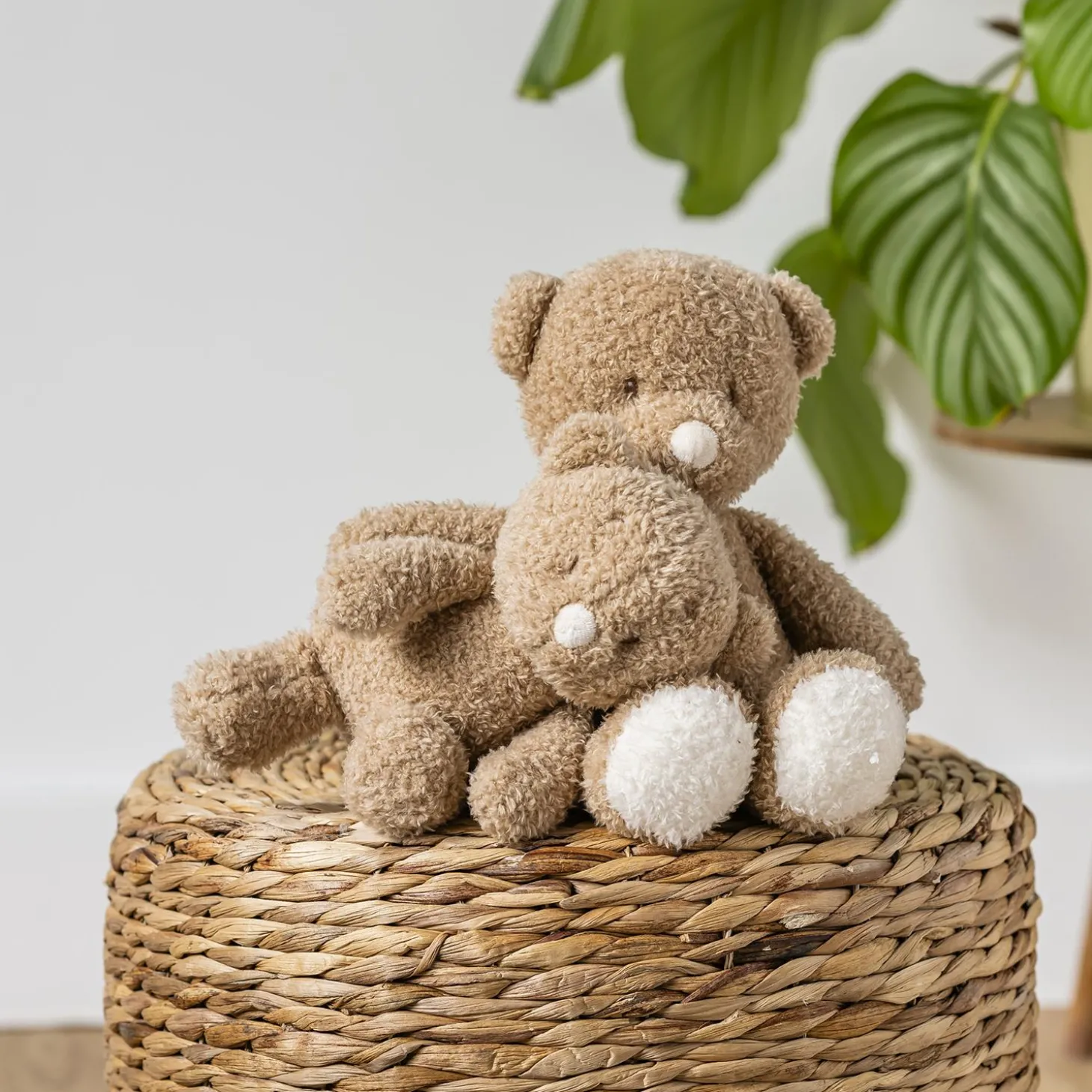 Nattou Peluche Bébé Ours Bouclette Teddy Caramel 24 cm