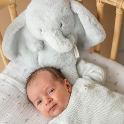 Nattou Peluche Loulou Éléphant Vert tilleul