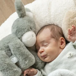 Nattou                    Peluche Loulou    Âne Vert foncé