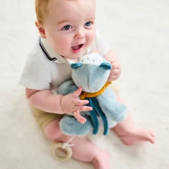 Nattou                    Peluche musicale Felix le blaireau Felix et Leo    Bleu