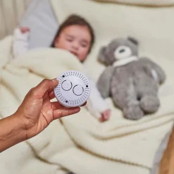 Nattou                    Veilleuse peluche Ours Sleepy    Gris