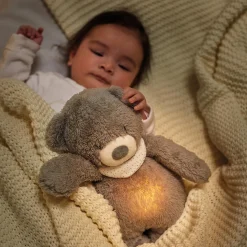 Nattou                    Veilleuse peluche Ours Sleepy    Gris