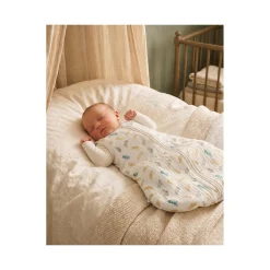 Noukie's                    Gigoteuse Coton Bio Plumes de Lune    Beige            0-3 mois
