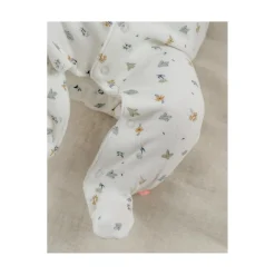 Noukie's                    Lot 2 Pyjamas velour Lovely Bird    Blanc            0 mois