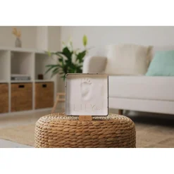 Petit Artichaut                    Baby Box Carrée    Olive Tree