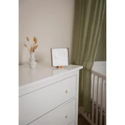 Petit Artichaut                    Baby Box Carrée    Olive Tree