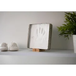 Petit Artichaut                    Baby Box Carrée    Olive Tree