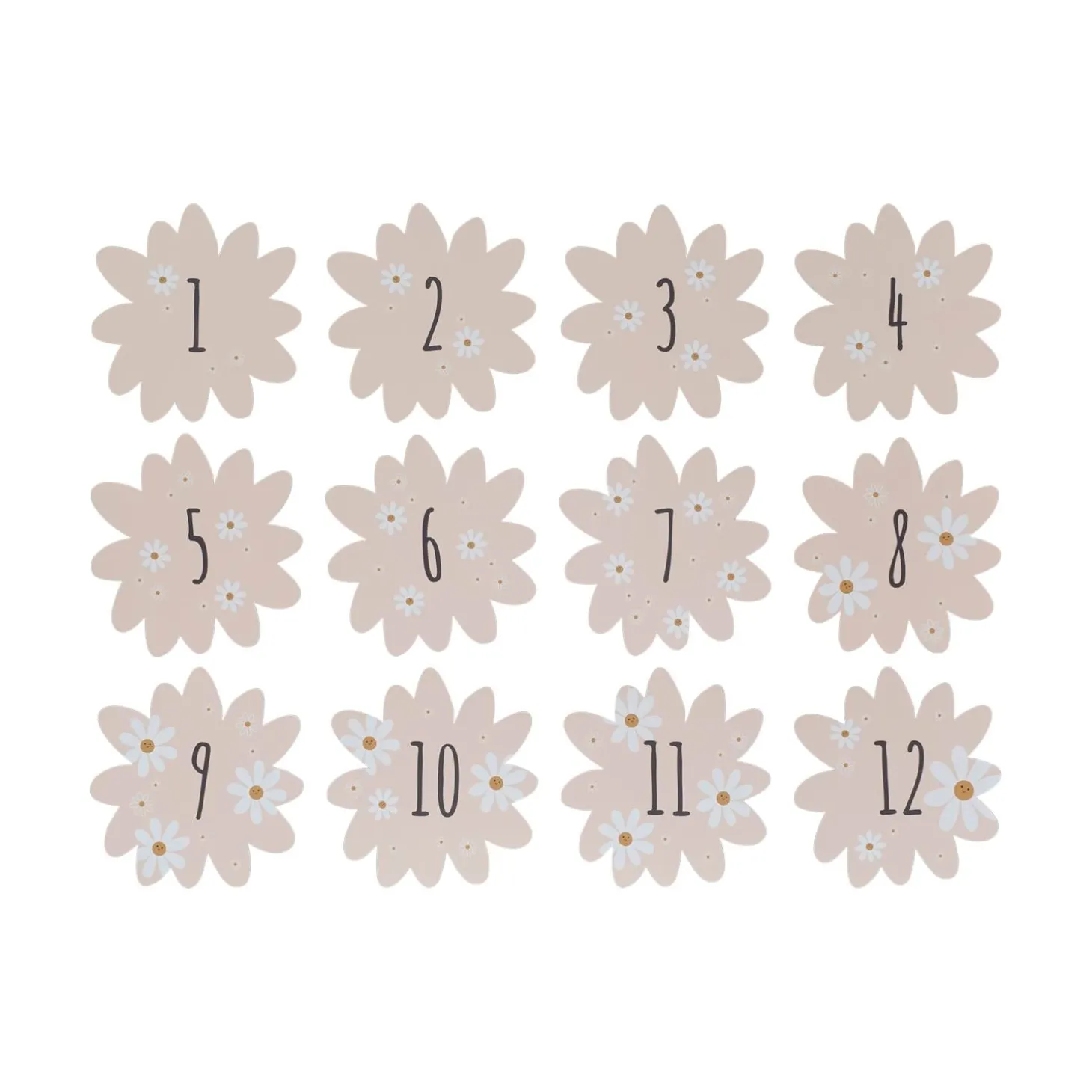 Petit Artichaut Coffret naissance Daisy Blue