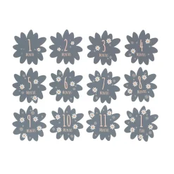 Petit Artichaut Coffret naissance Daisy Blue