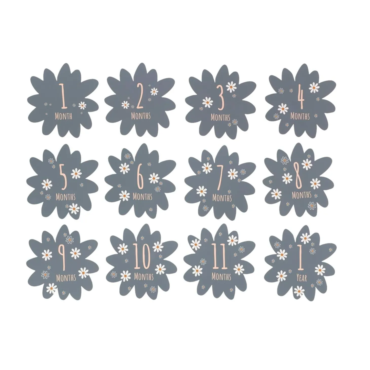 Petit Artichaut Coffret naissance Daisy Blue