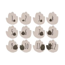 Petit Artichaut                    Coffret naissance    Multicolore