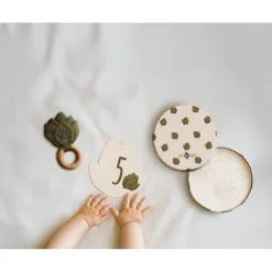 Petit Artichaut Coffret naissance Multicolore