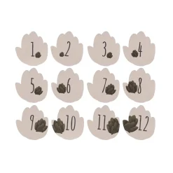 Petit Artichaut Coffret naissance Multicolore