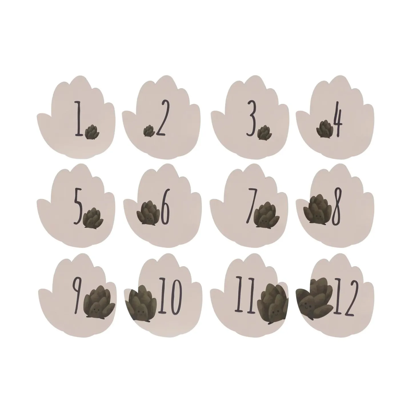 Petit Artichaut Coffret naissance Multicolore