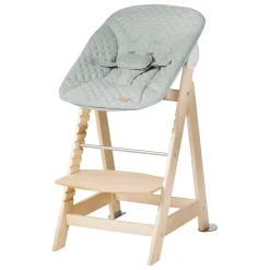 Roba Set Transat + chaise haute évolutive Born Up vert givré