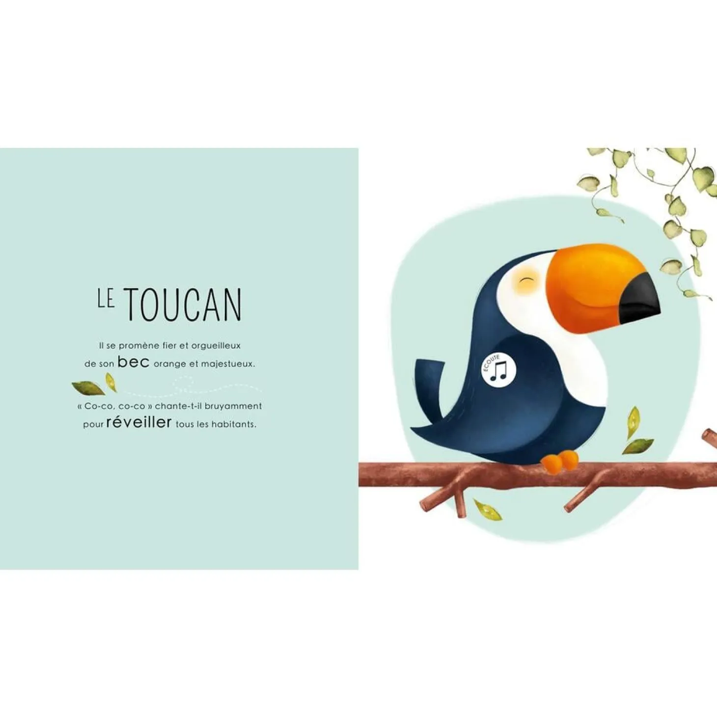 Sassi Junior Livres Sonores Les Petits Habitants de la Jungle Rouge Rouge