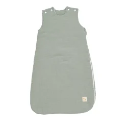 Sauthon                    Gigoteuse + doudou mouchoir Uni Sauge    Vert            0-6 mois