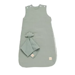 Sauthon                    Gigoteuse + doudou mouchoir Uni Sauge    Vert            0-6 mois