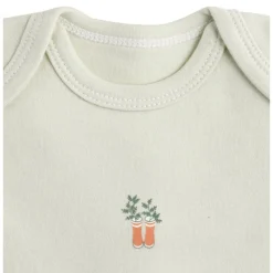 Sauthon                    Lot de 3 bodies manches courtes Botanica    Mixte            6 mois