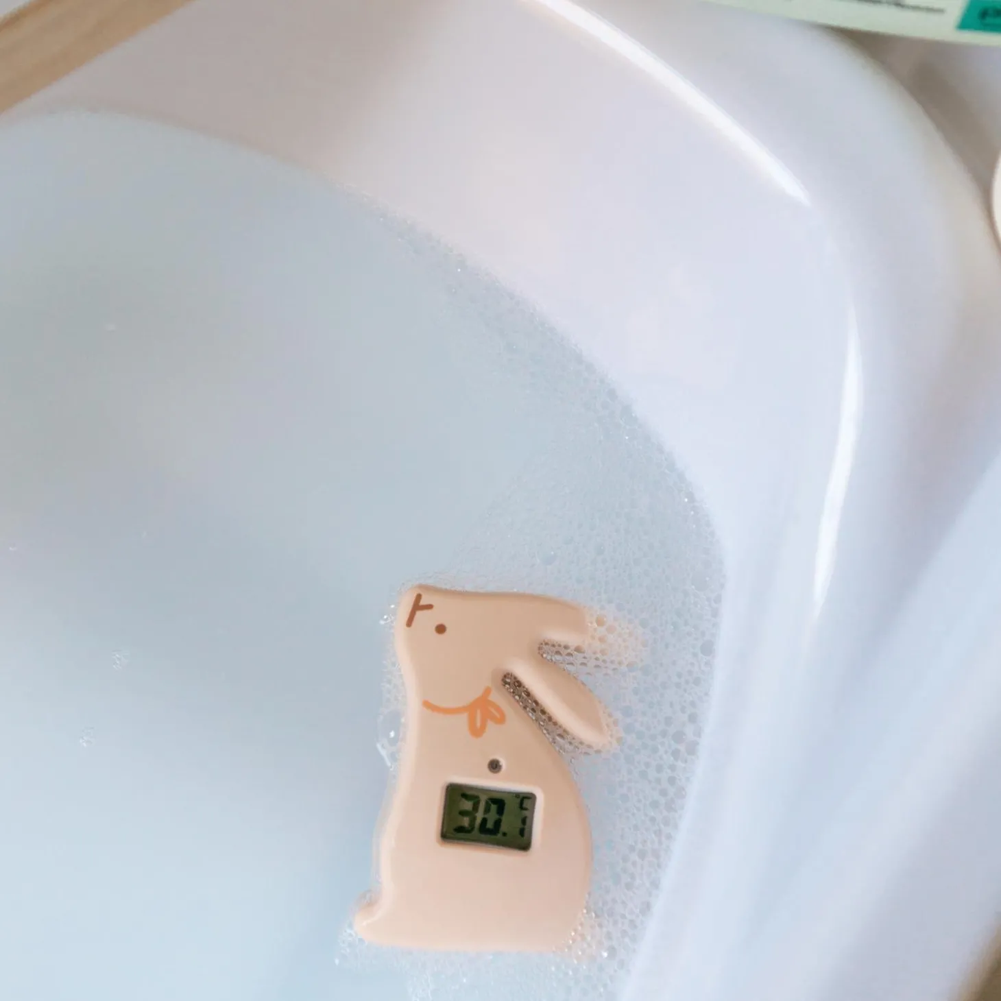 Suavinex Thermomètre de Bain Digital Wonderland Lapins Couleur aléatoire
