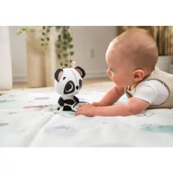 Tiny Love Jouet musical intelligent Black & White