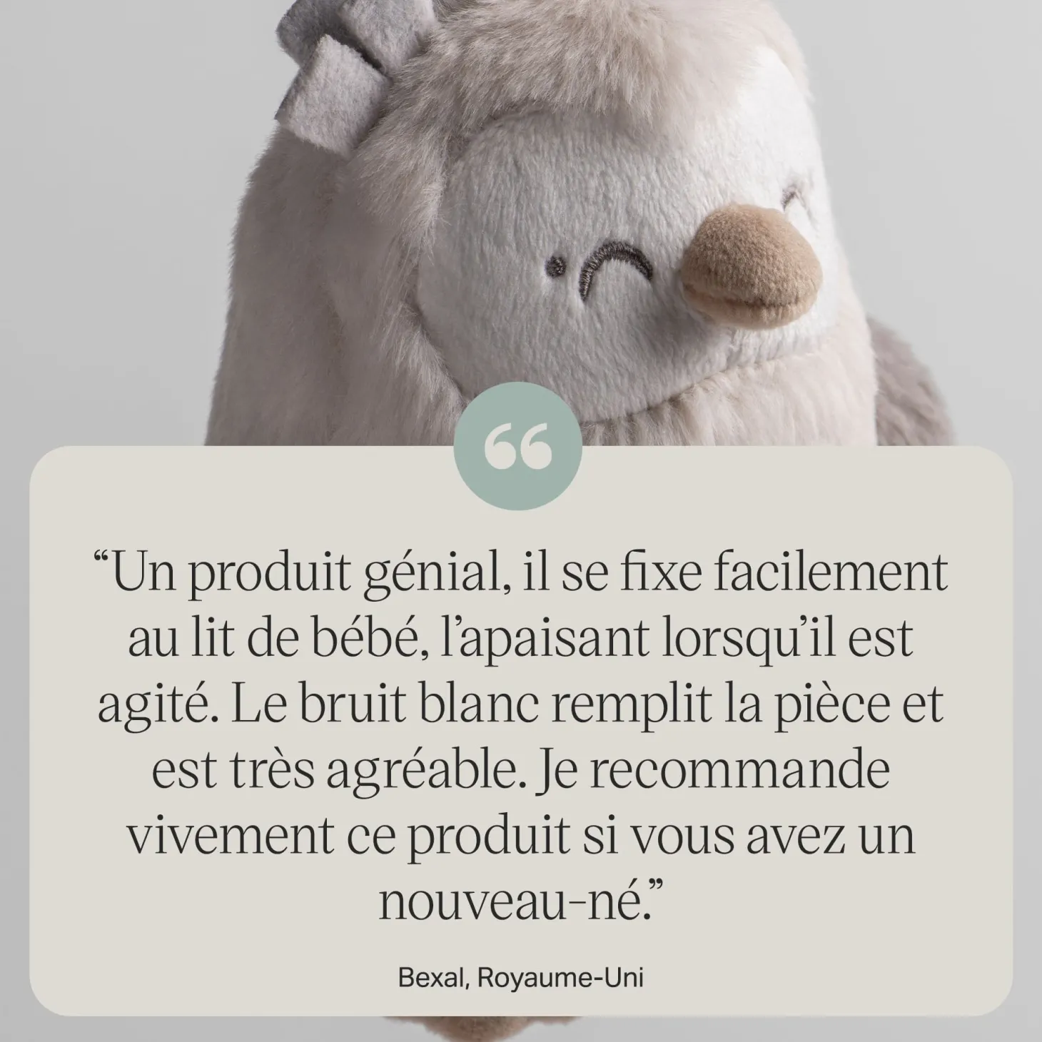 Tommee Tippee Mini peluche aide au sommeil Chouette